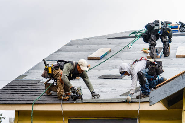 Professional Emergency Roof Repair technician working in Holland, MA